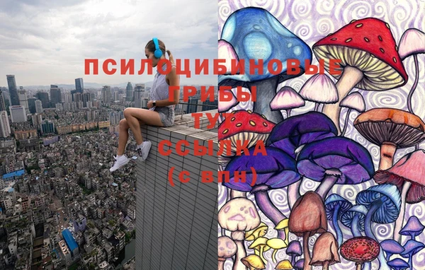 стафф Аркадак