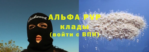 стафф Аркадак