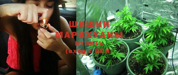 стафф Аркадак