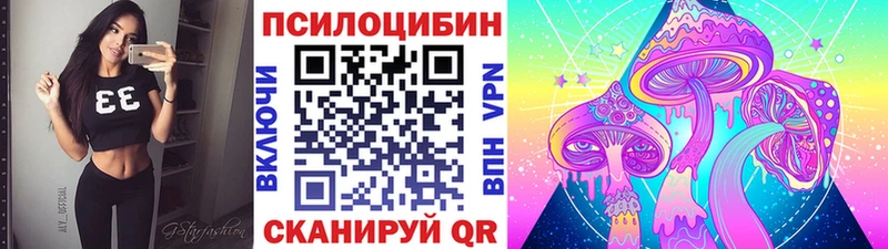 ссылка на мегу вход  Курчалой  дарк нет телеграм  Галлюциногенные грибы мухоморы 