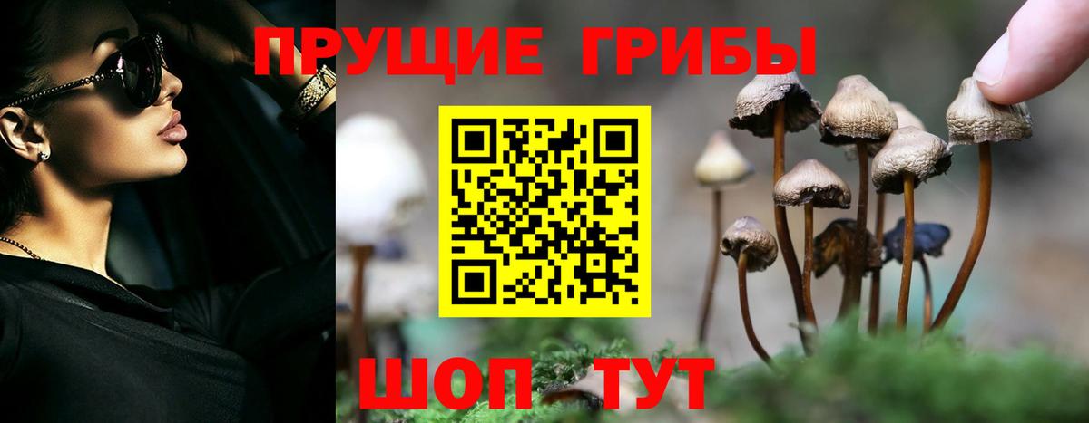 Галлюциногенные грибы мицелий Курчалой